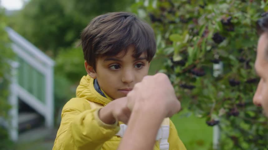Boy wearing a yelow raincoat fistbumps his dad before taking his hand to cross the street