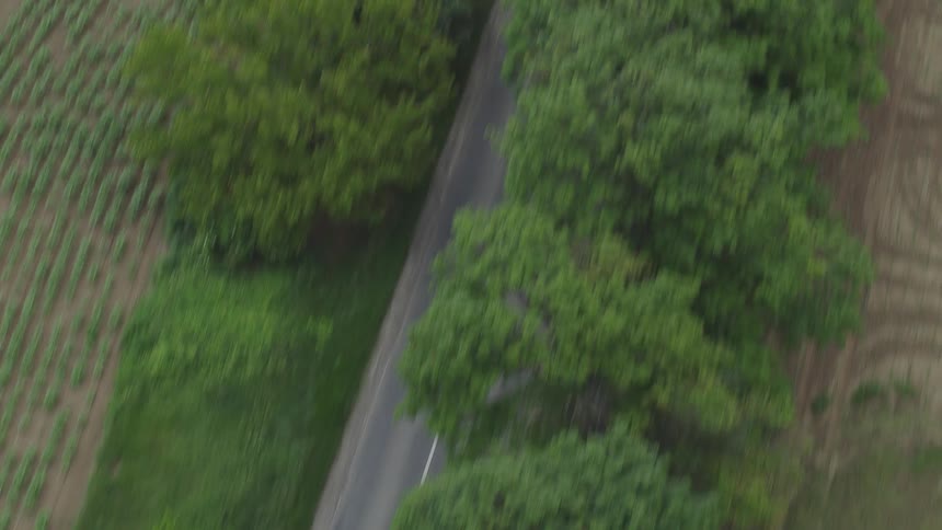 Trio of motorcyclist ride along highway past crop fields and trees