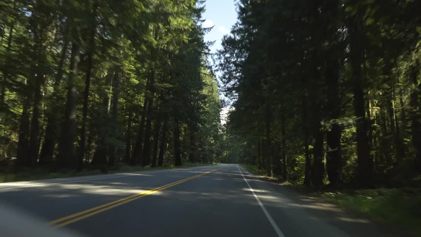 Tall trees cast shadows onto a narrow rural highway
