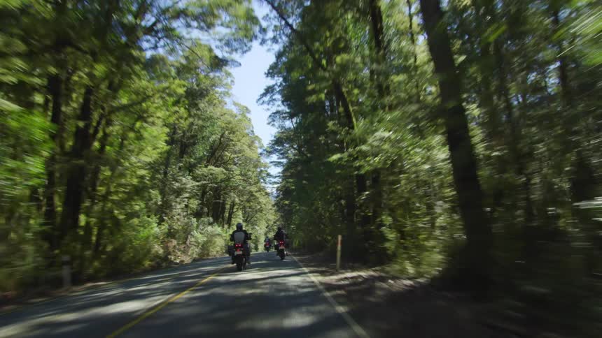 A group of people are riding motorcycles on a forest road