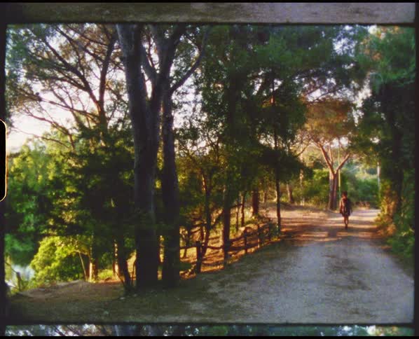 A person walking on a pathway surrounded by trees with the sky and clouds in the background