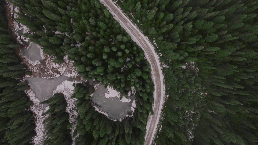 An aerial view of a road through a forest next to a river