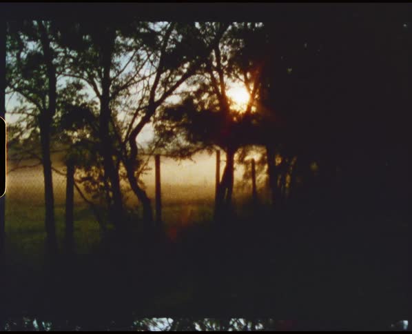 A view of sun in the distance with trees on some farmland