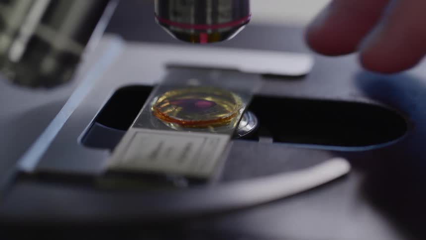 A person pushes a slide under the microscope