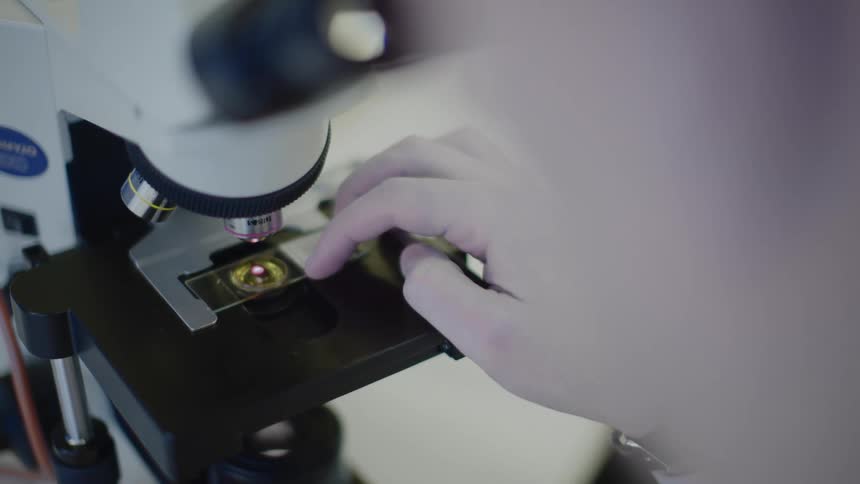A person positions a glass slide under a microscope