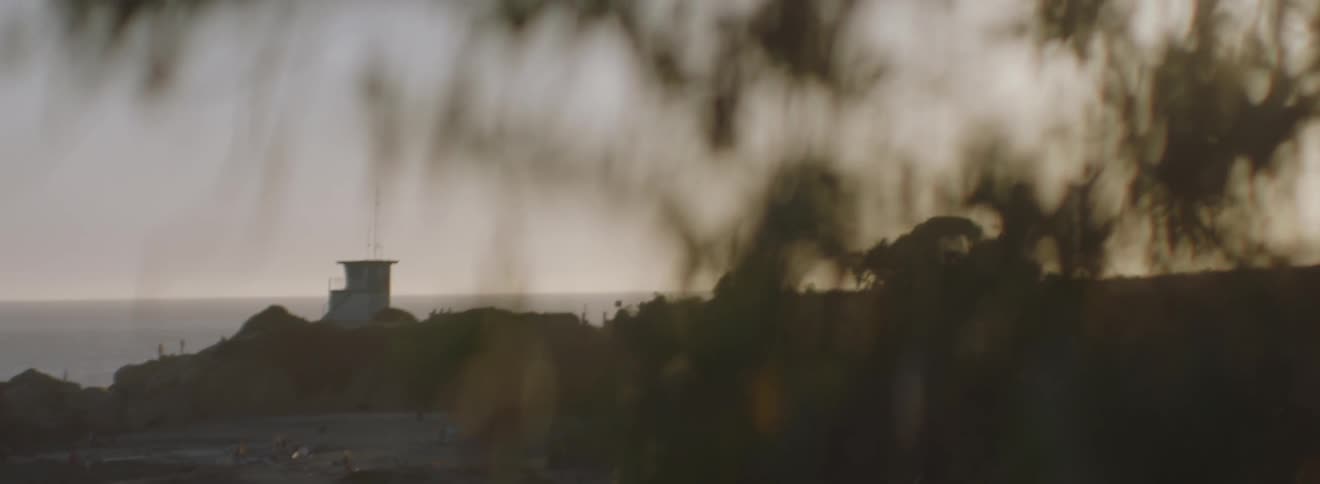 A beach area with lifeguard station is seen in the distance through blurry leaves