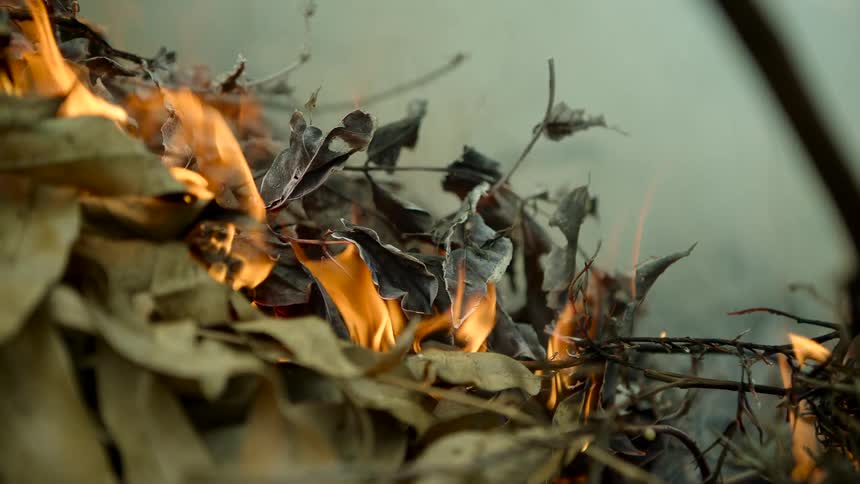 Flames rising as leaves burn outside