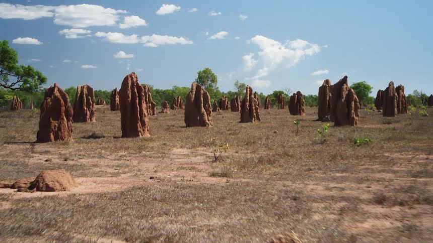 Rock formations that look like monuments with trees in the distance