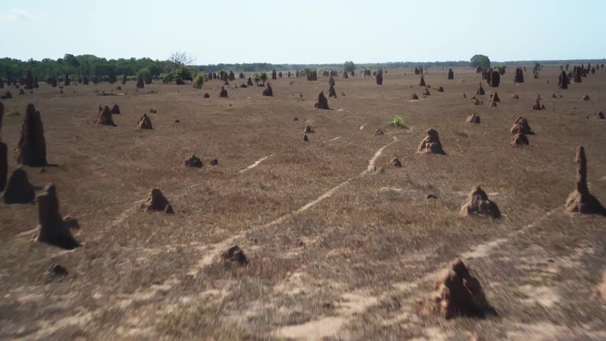 Boulders of different sizes dot the landscape in a field of dead grass