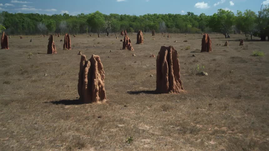 Rock formations that look like monuments with trees in the distance