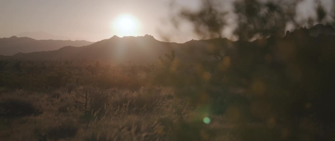 Plants moving in the breeze as the sun is setting over a mountain in the distance