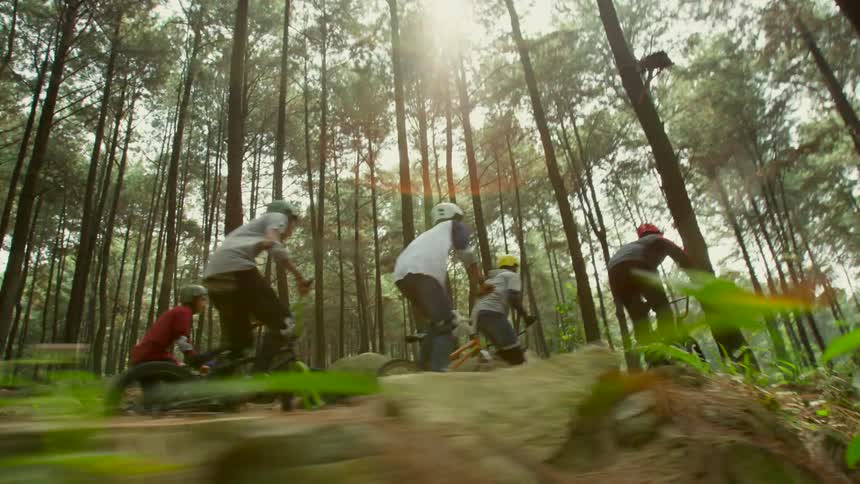 A group of cyclists ride bicycles through a forest during the day