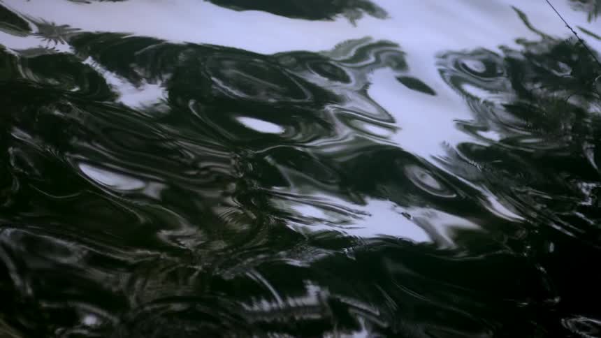 The water is reflecting the sunlight
