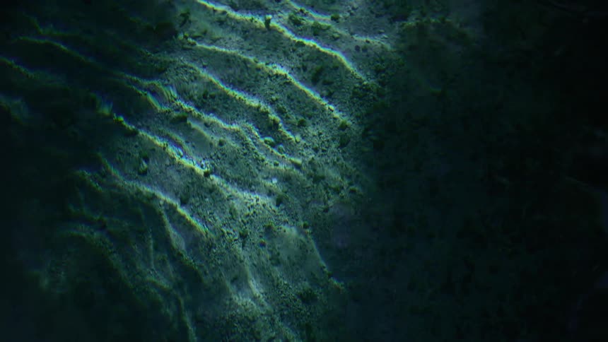 Light is shining in on the water