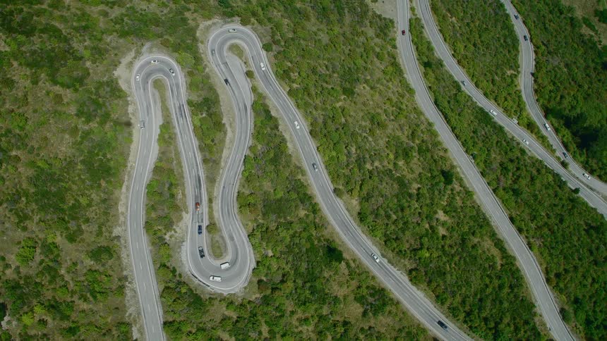 A road with vehicles surrounded by plants dirt and trees