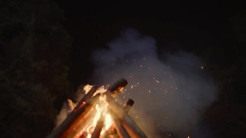 A bonfire with fire and smoke with trees and the sky in the background