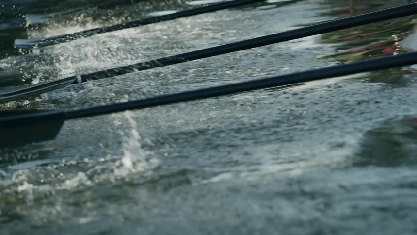 A rowing team works in unison to paddle a boat