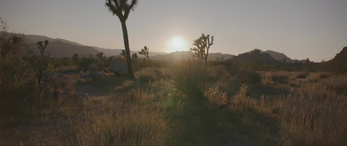 The sun sets over the distant mountains seen from field with brown wild grasses