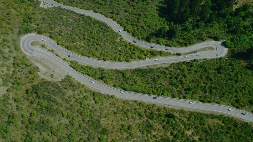 A road with vehicles surrounded by plants dirt and trees