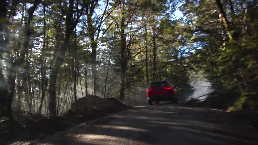 A red car is traveling on a forest road as sunlight shines through the trees