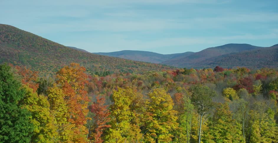 Fall