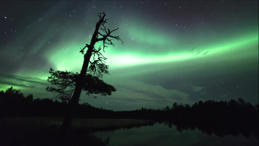 The northern lights shine in the night sky above a lake