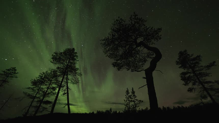 Faint northern lights rippling across the starry sky