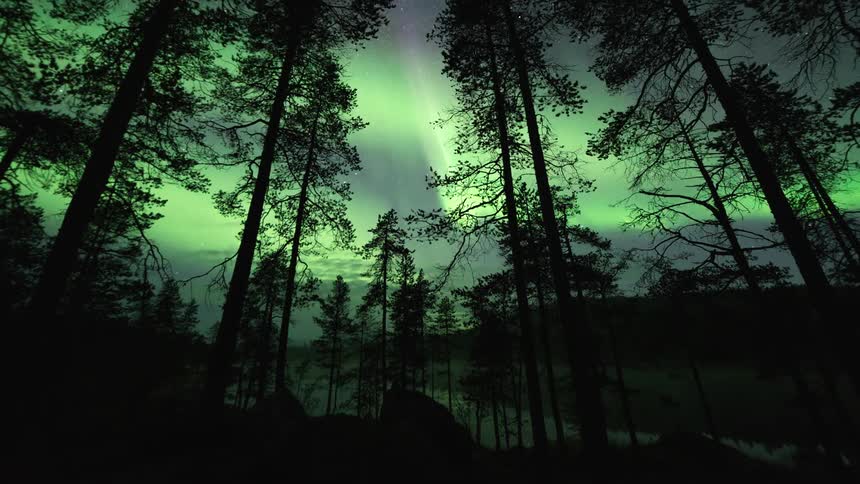 Time lapse of a treeline over a forest with auroras in the sky
