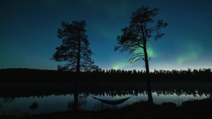 Aurora borealis above two pine trees holding a hammock