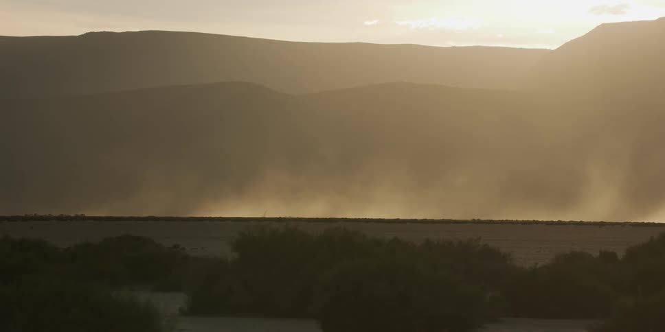 Mist at the base of the mountains with a field and bushes nearby