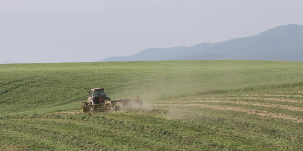 A tractor works the field on the hill