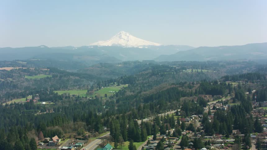 An enormous snow capped mountain stands tall over a town within a forest