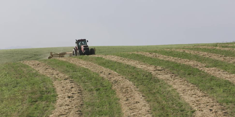 A tractor pulls a trailer through a field of crops