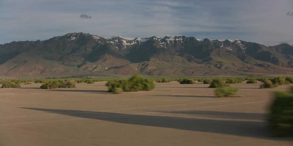 Open land scattered with bushes and plants and nearby mountains