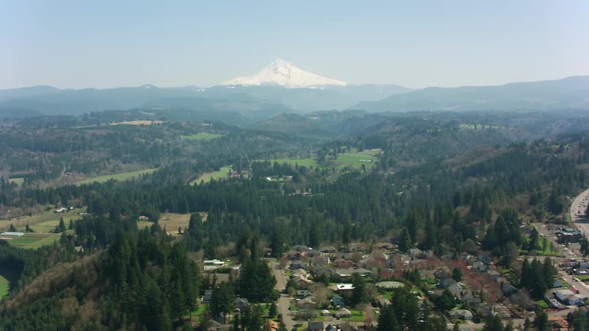 Talked within forests and near to a tower in snowcapped mountain is a town with many buildings