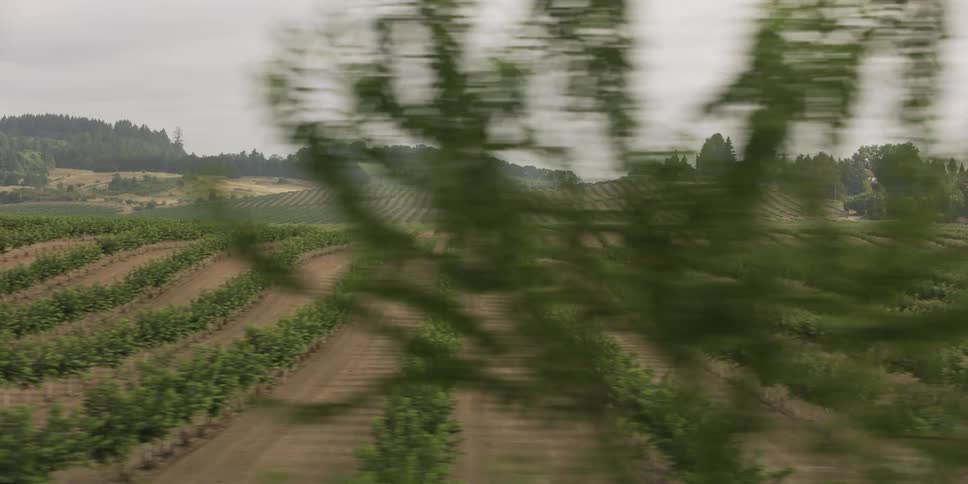 A panning shot of rural farmland