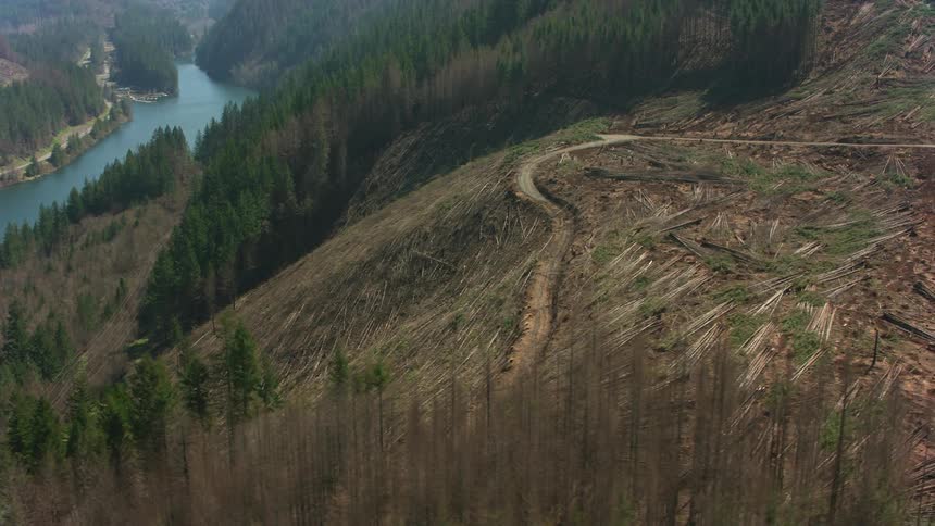 Dirt road winds over mountain plateau cleared of trees near conifer covered slope sitting across blue river from another forested mountain