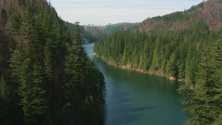 An aerial view of a river and trees