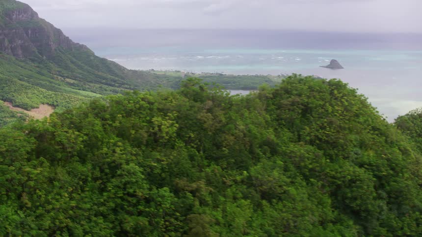 Lush green ridges and cliffs slope down to the ocean on a cloudy day