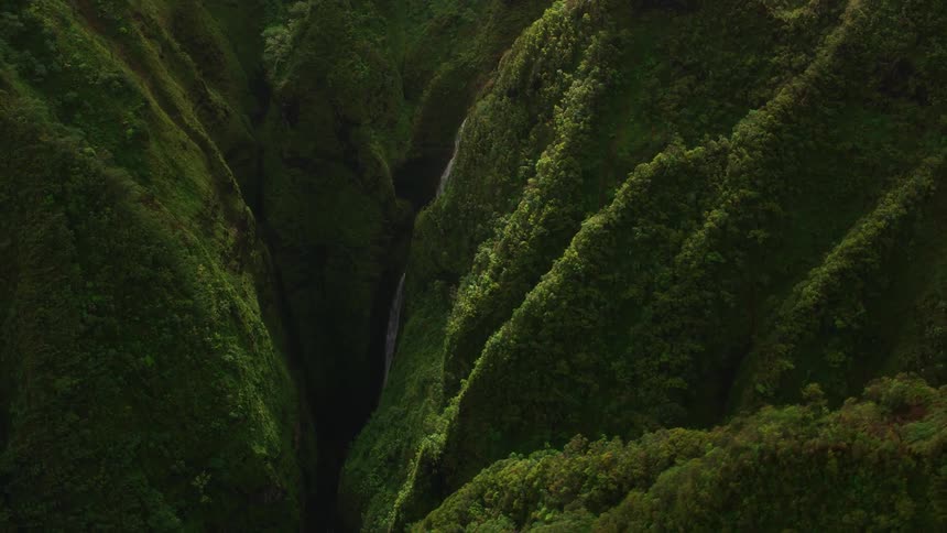 A cliff with trees with a waterfall