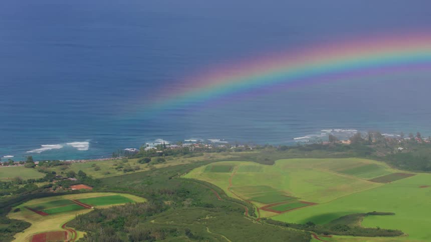 A landscape near a coast with trees grass and a rainbow