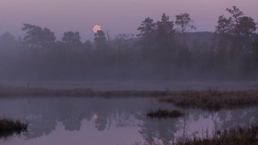 Time-lapse of purple moonrise over foggy water