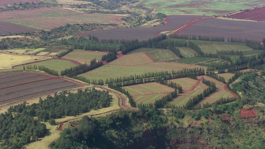 Cars drive on the highway through the farmland
