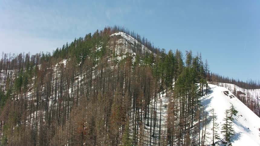 Hills covered in snow and trees with the sky and clouds in the background