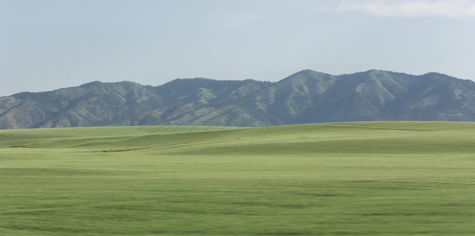 A lush green field leads to a canyon
