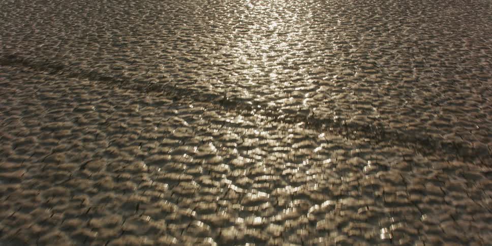 Wet soil with mud with sunlight reflecting off of it