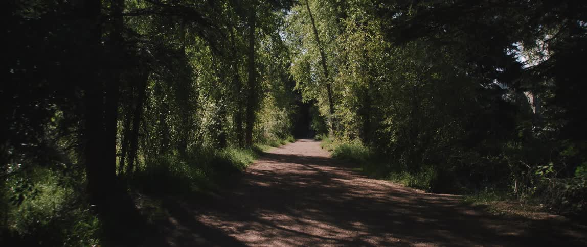 A dirt trail surrounded by trees in the woods