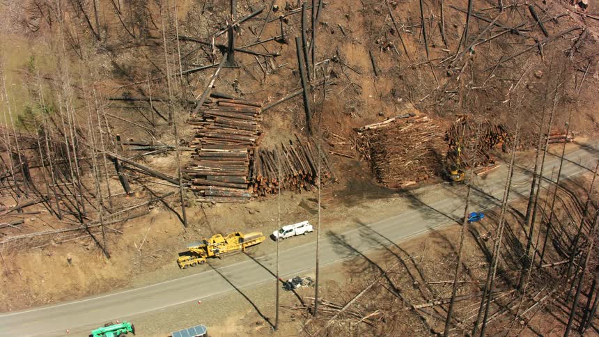 Vehicles next to a river surrounded by trees and logs, cleaning up after forest fire