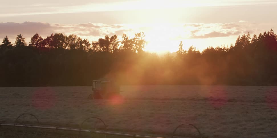 Harvester working over the crops on a field at sunset