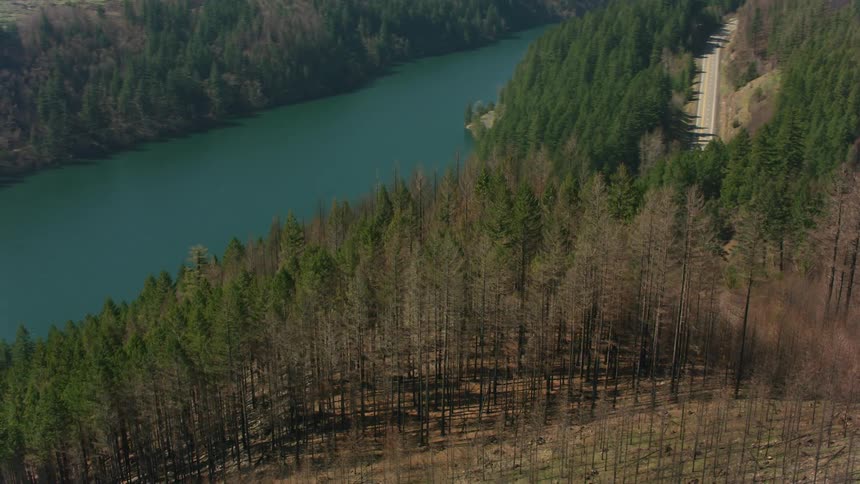 A road next to a river surrounded by trees plants and hills